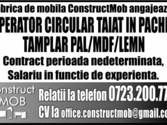Fabrica de mobila (ConstructMob)