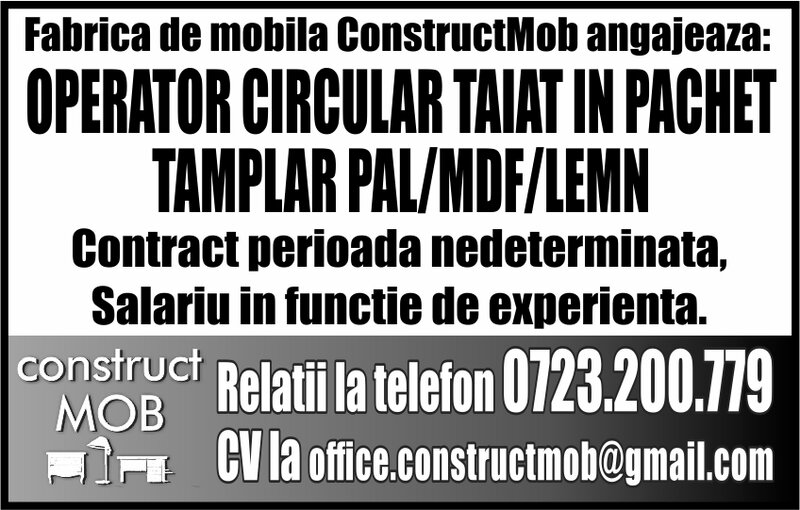 Fabrica de mobila (ConstructMob)